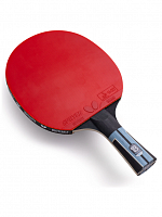 ������� Butterfly Timo Boll Progress