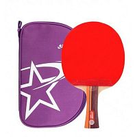 ������� DHS Racket 2002