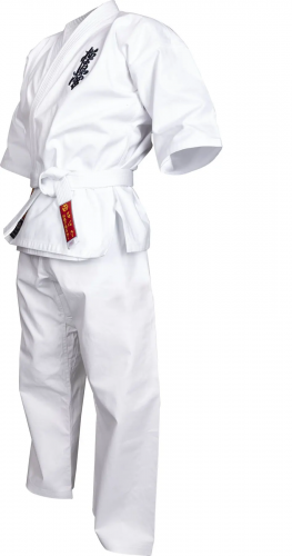 ������ Hayashi KYOKUSHINKAI (�����������) ���� 3