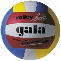 ��� ������������ Gala TRAINING MINI,�4, BV4041SB (18 �������)