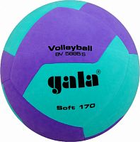 ��� �������� Gala Soft 170 BV5685SCF (12 �������) (����� ���)