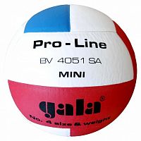 ��� ������������ Gala PRO-LINE MINI BV4051SA (12 �������)