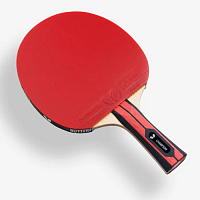 ������� Team Butterfly Champion