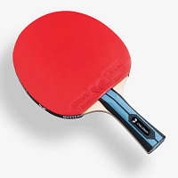 ������� Team Butterfly Challenger