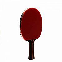 ������� ��� ����������� ������� Sanwei Taiji 610