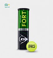 ��� ��� ������� Dunlop Fort All Court TS Premium ITF
